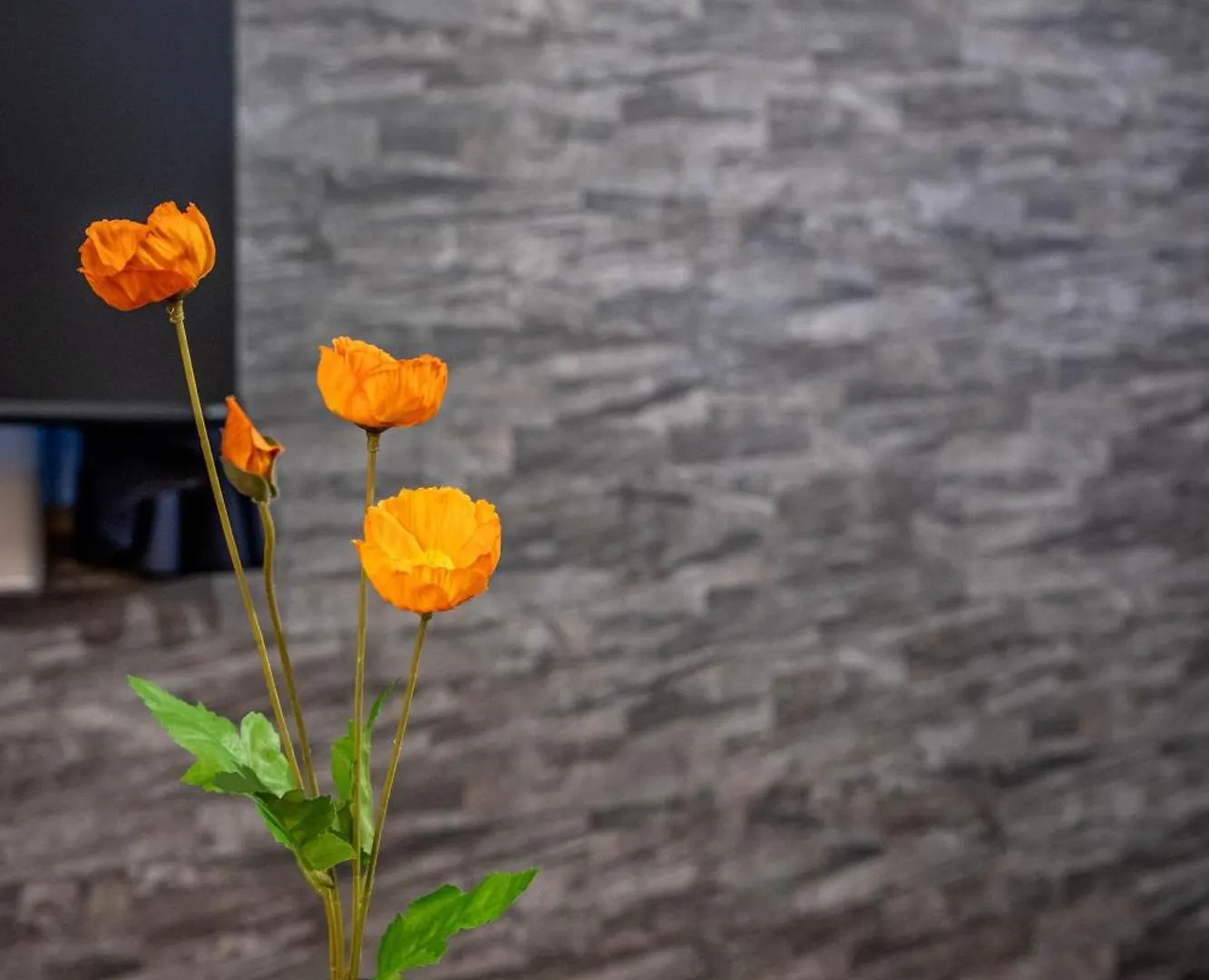 Apartment Ferienwohnung アリタクローバーハイツ103 Ōsaka Japan